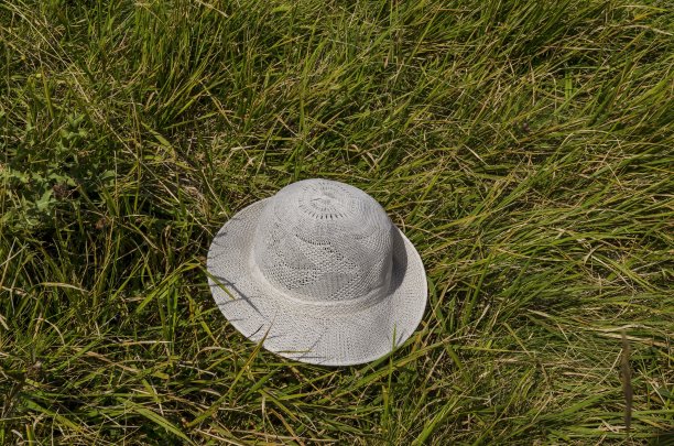 白帽遗弃在维托沙山的空地上图片下载