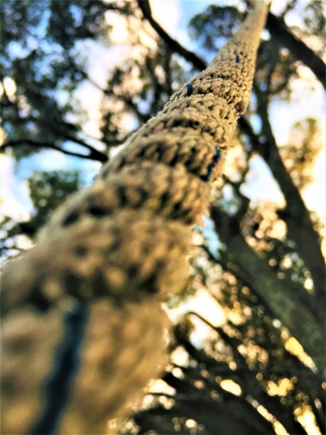 秋千绳图片下载