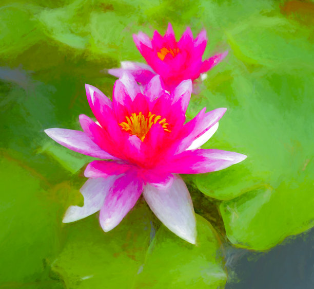 波尔多植物园图片下载