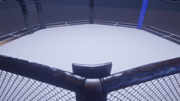 Mma竞技场。灯光下的空战笼。三维渲染图片下载