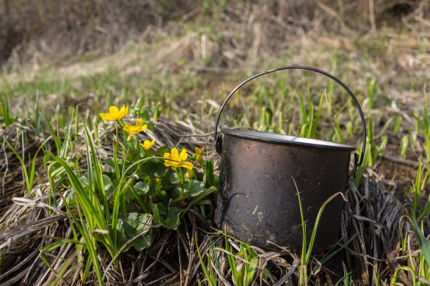 被煤烟熏黑的花盆躺在黄花旁的草地上图片下载