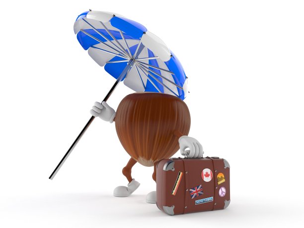 榛子特色手提箱图片下载