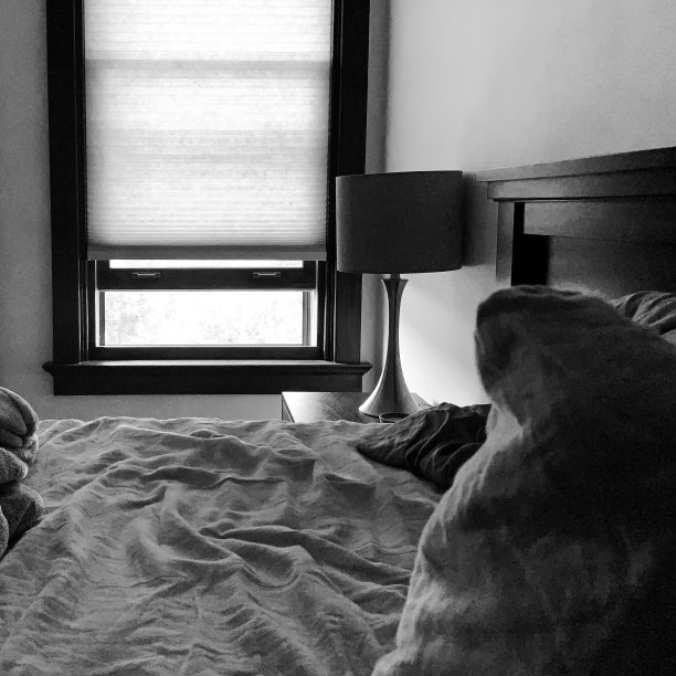 窗边凌乱的床图片下载