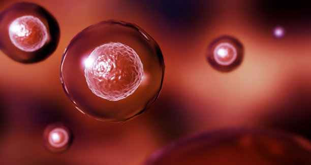 人类细胞的显微镜背景图片下载