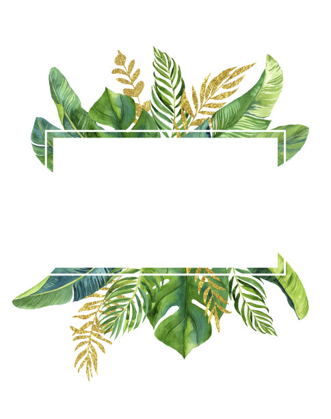 热带水彩插图与叶和花。几何框架的邀请，婚礼，生日，宝宝送礼，保存日期等。图片下载