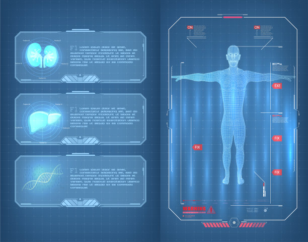 未来的用户界面和信息图元素。医疗信息图(肺，肝和DNA人)身体扫描(科幻，Ui, HUD元素)。现代医疗检查HUD风格。人体扫描。图片下载