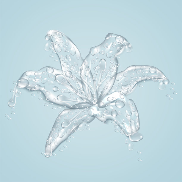 一朵有水滴的百合花。图片下载