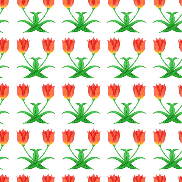 简单的无缝模式的郁金香孤立在白色的背景。抽象的花卉装饰。图片下载