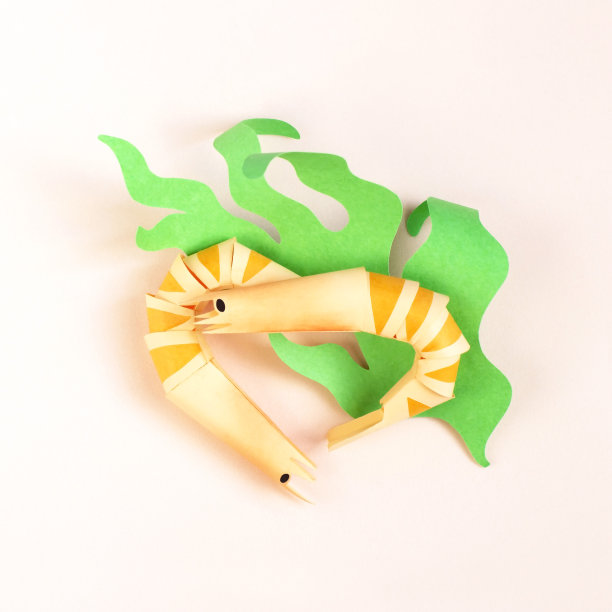 两个纸虾放在纸生菜叶子上图片下载