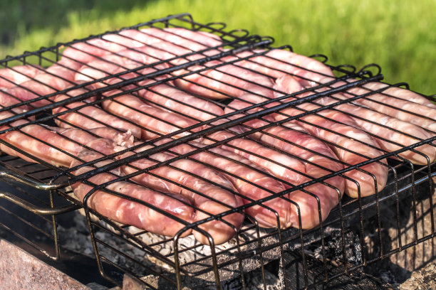 朋友们在大自然中烧烤和吃午餐。图片下载