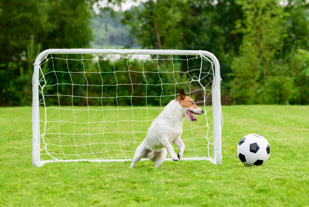 有趣的守门员控制足球越过球门图片下载