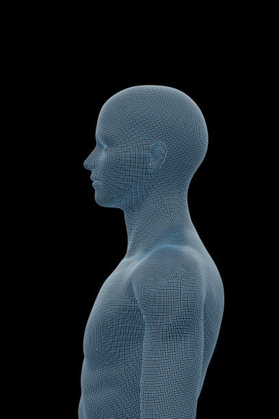 人体，男性，男性图片下载