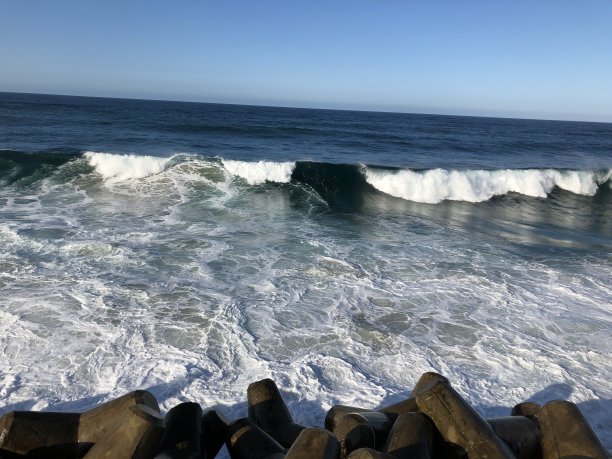 在四足动物身上破浪图片下载