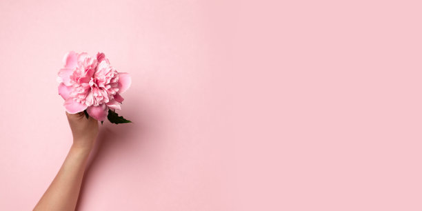 女性手捧粉红枝牡丹花在粉红色的背景。平的风格。图片下载