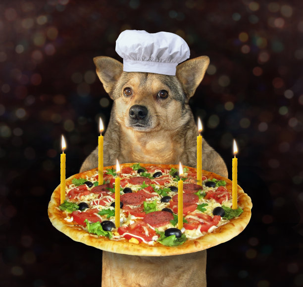 狗和节日披萨图片下载