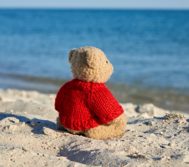 穿着红色毛衣的棕色泰迪熊站在沙滩上望向远方图片下载
