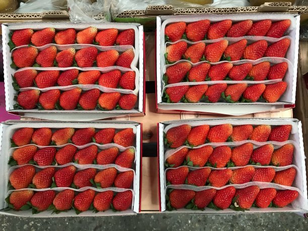 市场上琳琅满目的草莓图片下载
