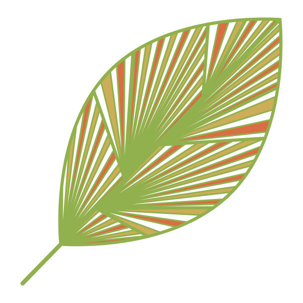 叶孤立在白色上。图片下载