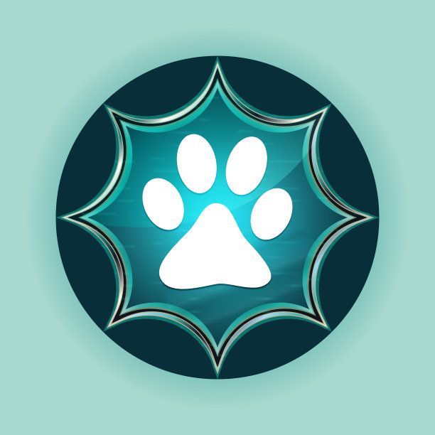 动物爪印图标神奇的玻璃太阳爆发蓝色按钮天空蓝色的背景图片下载