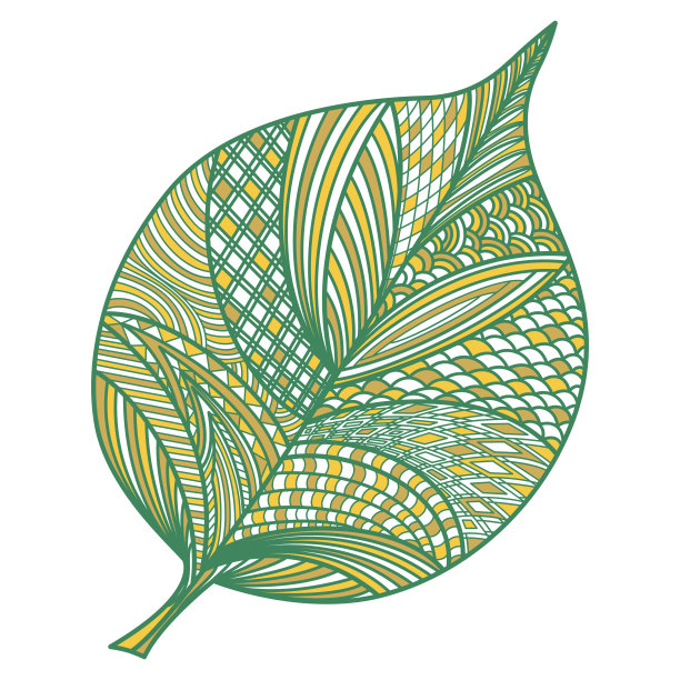 叶孤立在白色上。图片下载