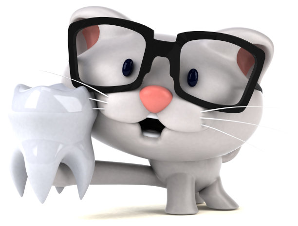 有趣的猫- 3D插图图片下载