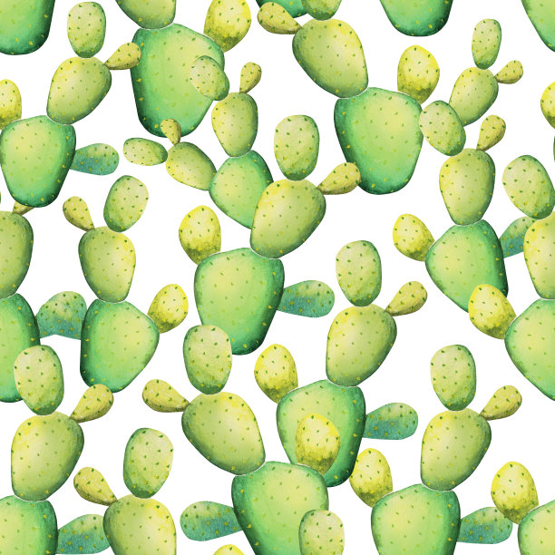 水彩可爱的仙人掌图案。无缝隙的热带模式，在白色背景上浓密的多刺植物图片下载