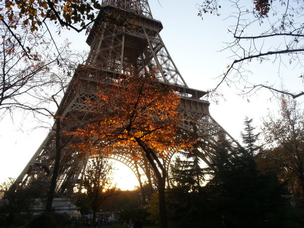 在法国巴黎，埃菲尔铁塔穿过秋叶图片下载