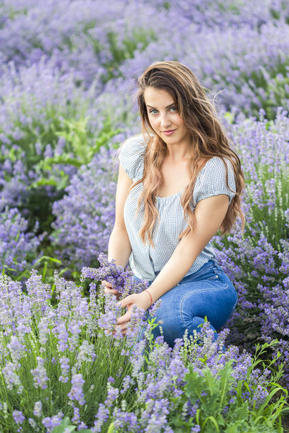 女士们在薰衣草图片下载