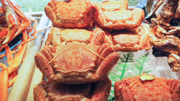 日本大闸蟹图片下载