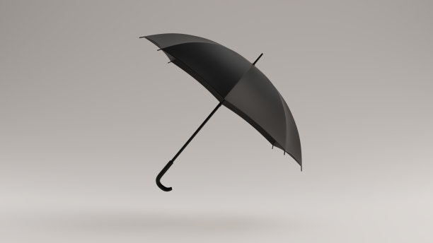 黑伞倾右图片下载