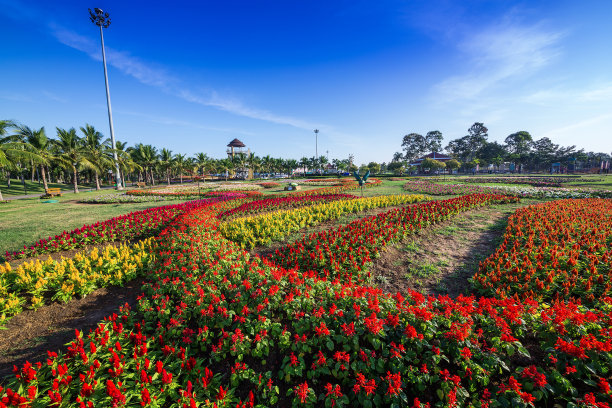 公园垂直绿化。图片下载