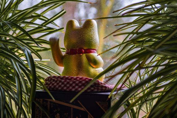 窗台上一只金色幸运猫的后背图片下载