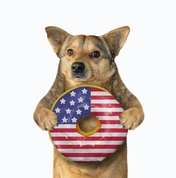 狗和美国甜甜圈图片下载