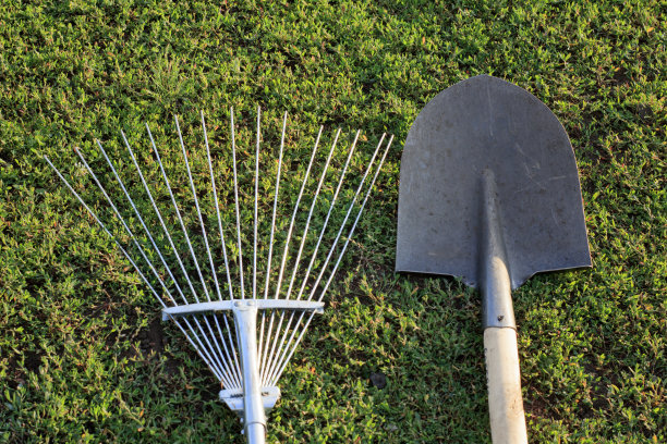 园丁的工具:在绿色草地上的铲子和花园耙图片下载
