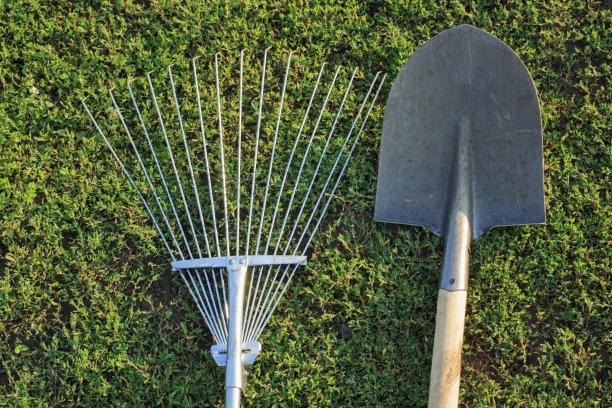 园丁的工具:在绿色草地上的铲子和花园耙图片下载