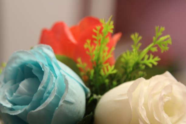 修剪花瓣图片下载