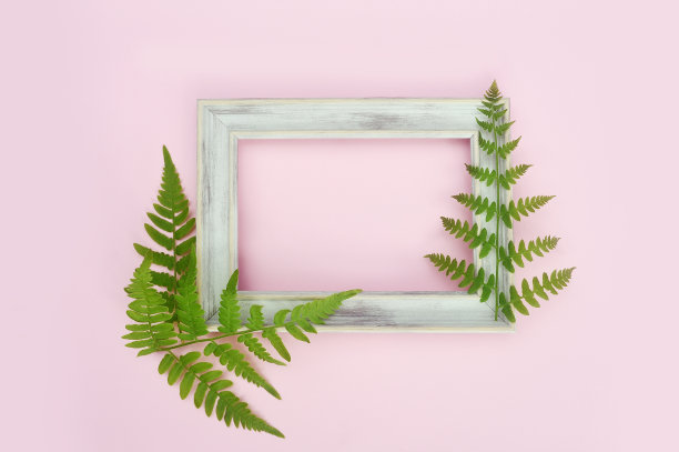 木制的白色相框和绿色的树叶在柔和的粉红色背景。平铺，俯视图，拷贝空间。鲜花卡片，问候，节日模型图片下载