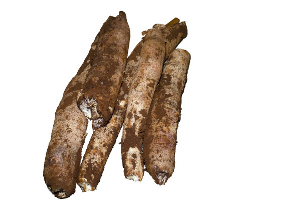 白色背景上放着肮脏的木薯图片下载