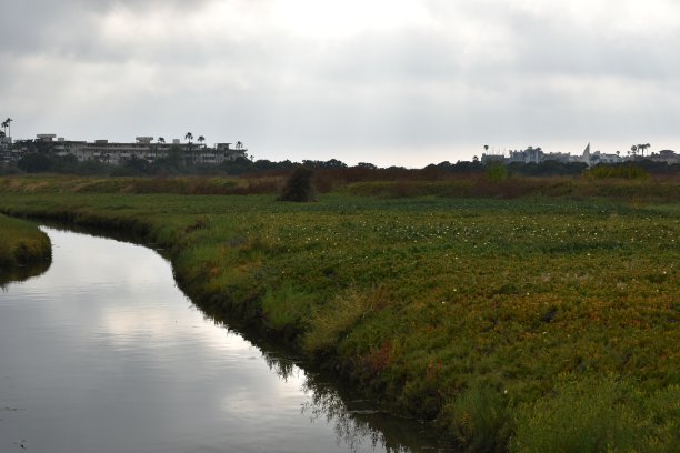 湿地小溪与郁郁葱葱的河岸左框架图片下载