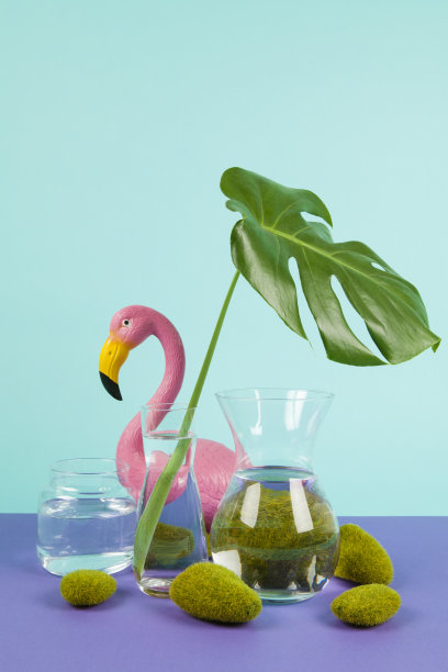 水妖和粉红火烈鸟图片下载