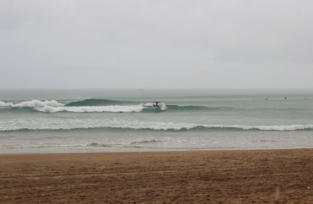寂寞的冲浪者图片下载