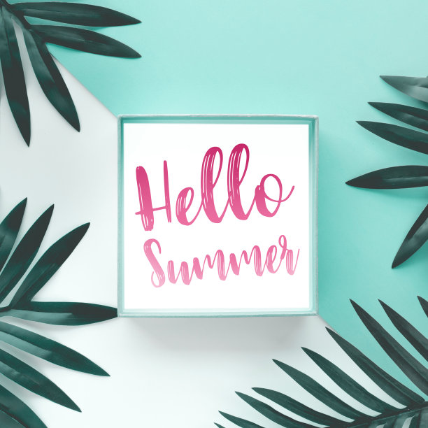 你好夏季概念与色彩背景上的彩色热带树叶文字图片下载