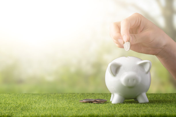 草地背景上有一个存钱罐，一只女性的手将硬币放入25分硬币中。一个省钱的概念。储蓄。从上面的观点图片下载