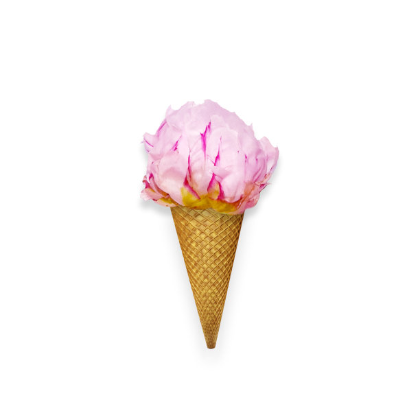 粉红色牡丹花在冰淇淋蛋筒孤立在白色背景，俯视图。极简的夏日形象，带花的甜蜜甜点。图片下载