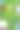 高尔夫锦标赛，海报，横幅设计模板。矢量插图。球，袋与高尔夫球杆在绿色背景。图片下载