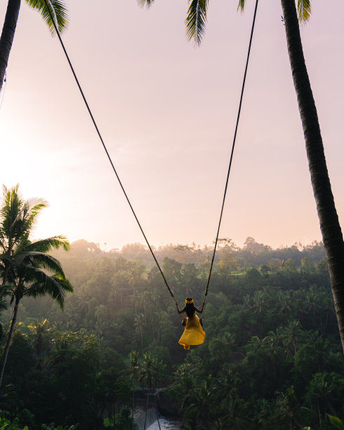 在巴厘岛的梯田上荡秋千的女人图片下载