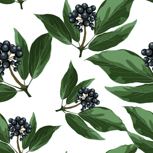 叶子图片素材ID：339214878