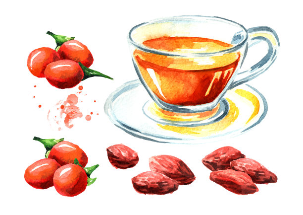 枸杞或枸杞茶及酊剂。水彩手绘插图孤立的白色背景素材图片