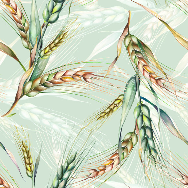 黑麦无缝模式。素材图片