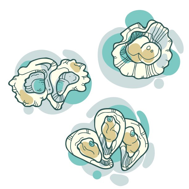 矢量水彩贝壳集图片下载